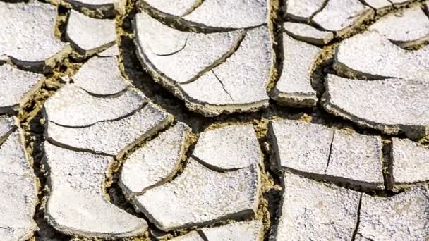Rissige Trockene Erde Trockenheit Risse Boden Unwegsames Gelände Einer Wüste — Stockvideo