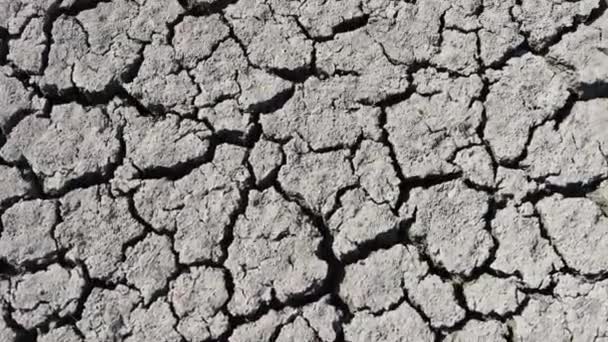 Popraskaná Půda Suchu Koncepce Sucha Změna Klimatu Prostředí Globálního Oteplování — Stock video