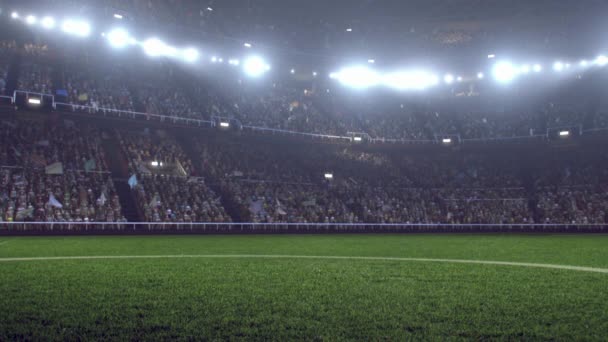 Sport Competition Football Soccer Ball Stadium Doom Illustration Backgrounds Video — Stockvideo