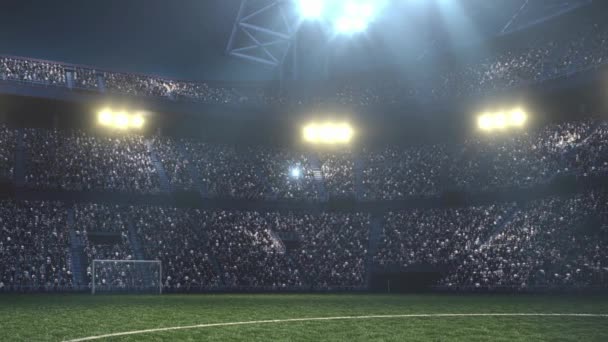 Stadium Football Competition Film Illustration Triumph Illustration Backgrounds — ストック動画