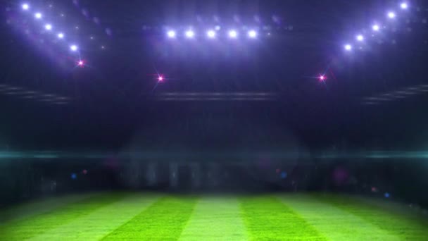 Stadion Meisterschaft Fußball Wettbewerb Sport Spaß Flash Hintergründe Video — Stockvideo