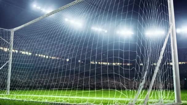 Football Championship Illustration Sport Penalty Goal Stadium Supporter Backgrounds — Stockvideo