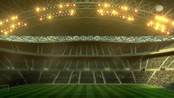 Сфера Футбольного Мяча Стадиона Иллюстрации Ночном Небе Иллюстрации Кадров — стоковое видео