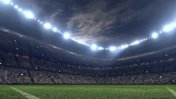 Video Championship Stadium Soccer Football Grass Motion Equipment Animaton Illustration — Vídeo de Stock