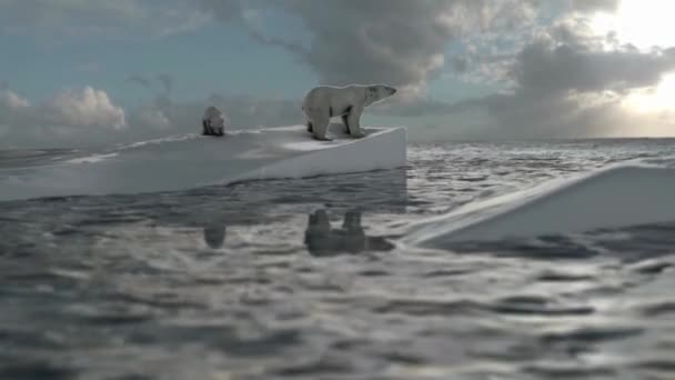 Χειμωνιάτικες Πολικές Αρκούδες Αρκτική Τήξη Θαλασσινό Νερό Υπερθέρμανση Του Κλίματος — Αρχείο Βίντεο