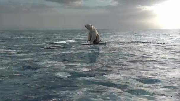 Kuzey Kutbu Ndaki Kutup Ayıları Eriyen Deniz Suyu Iklimi Video — Stok video