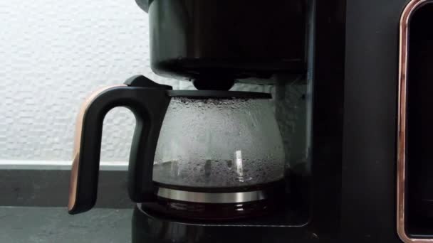 Coffee Machine Preparation Convenient Drink Automatic Filtration Footage Video Illustration — ストック動画