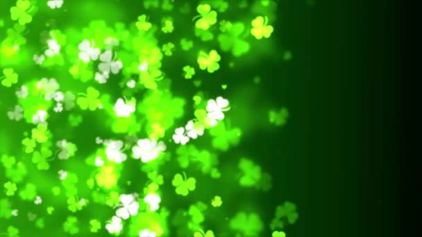 Patrick Day Animated Clover Spring Moving Background Video Copy Space — Stok Video