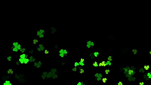 Шемрок Падает Землю Зеленый Клевер Листья Черном Фоне День Анимации — стоковое видео