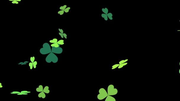 Шемрок Падает Землю Зеленый Клевер Листья Черном Фоне День Анимации — стоковое видео