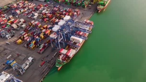 Timelapse Hongkong International Container Yard Industrial Port Goods Cargo Ship — ストック動画