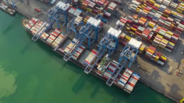 Хронометраж Международного Контейнерного Промышленного Порта Гонконга Грузовыми Грузовыми Судами — стоковое видео