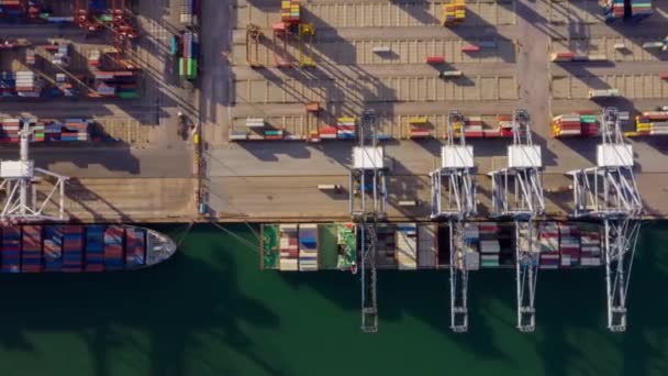 Времени Истечения Воздушного Зрения Снимок Коммерческого Порта Экспорт Импортных Товаров — стоковое видео