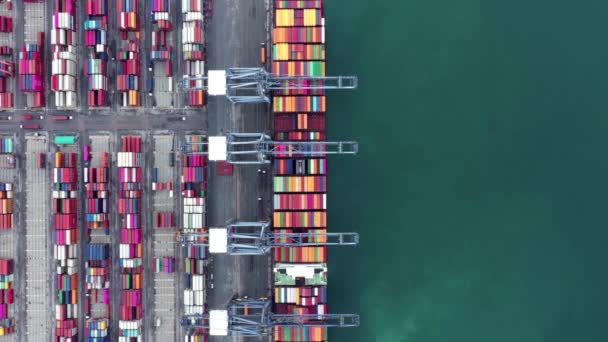Time Lapse Aerial View Shot Commercial Port Export Import Goods — Stock videók