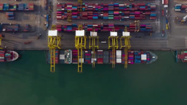 Time Lapse Aerial View Shot Commercial Port Export Import Goods — ストック動画