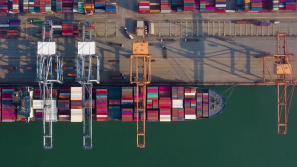 Time Lapse Air View Shot Port Komercyjny Port Eksportowy Import — Wideo stockowe