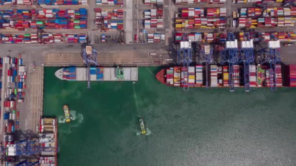 Time Lapse Aerial View Shot Commercial Port Harbor Export Import — Stock videók