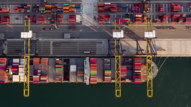 Time Lapse Aerial View Shot Commercial Port Harbor Export Import — ストック動画
