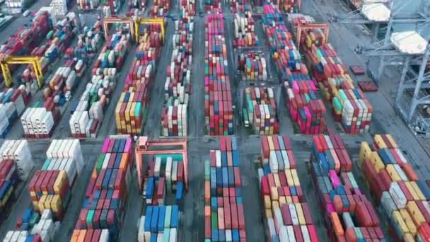 Time Lapse Container Port Docks Ship Cargo Container Global Singapore — Vídeo de stock
