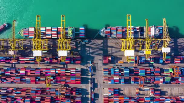 Top View Aerial Drone Industry Cargo Container Port Shipping Industry — Video Stock