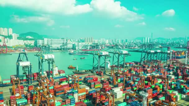 Time Lapse Container Port Docks Ship Cargo Container Global Singapore — Stock Video