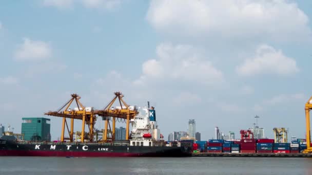 Timelapse Container Port Terminal Carga Industrial Carga Astillero Logistic Import — Vídeos de Stock