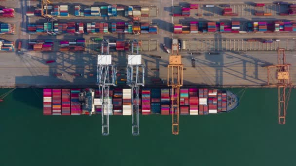 Top View Dronă Aeriană Industria Containerelor Marfă Port Transport Maritim — Videoclip de stoc