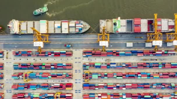 Вид Воздуха Промышленные Портовые Суда Перевозящие Контейнеры Условиях Импортного Экспорта — стоковое видео
