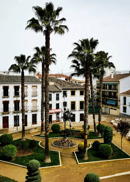 Palms Square Priego Crdoba Spain — стокове фото