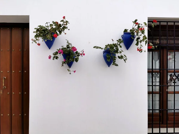 Typisk Andalusisk Fasad Med Blommor Krukor — Stockfoto