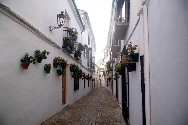 Andalusian Narrow White Streets Flowers Pots — ストック写真