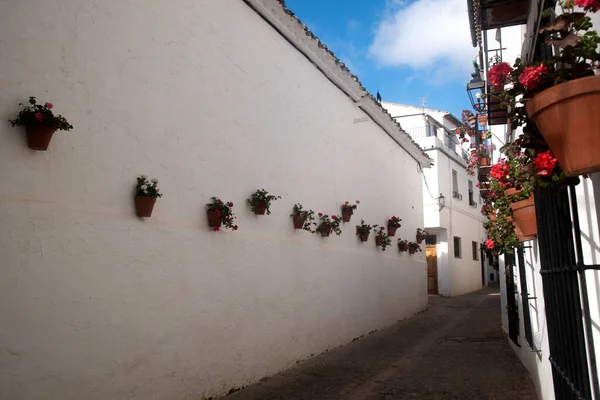 Calles Blancas Estrechas Andaluzas Con Macetas Flores — Foto de Stock