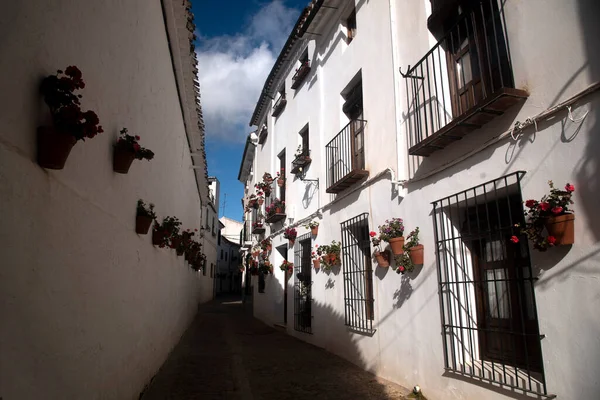 Andalusian Narrow White Streets Flowers Pots — ストック写真