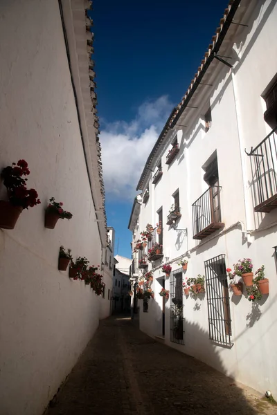 Андалузькі Вузькі Білі Вулиці Квітковими Горщиками — стокове фото