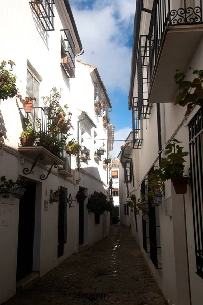 Calles Blancas Estrechas Andaluzas Con Macetas Flores —  Fotos de Stock