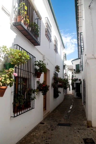 Andalusian Narrow White Streets Flowers Pots — ストック写真