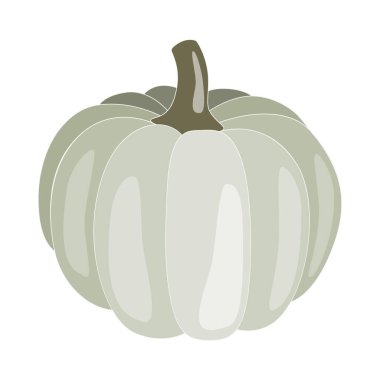 Balkabakları sanat öğesi. Beyaz arka planda izole edilmiş. Sonbahar, kartlar için sonbahar tasarımı, davetiyeler. Şükran Günü, Cadılar Bayramı, hasat mevsimi, hatıra defteri ve ev dekorasyonu için tasarım..