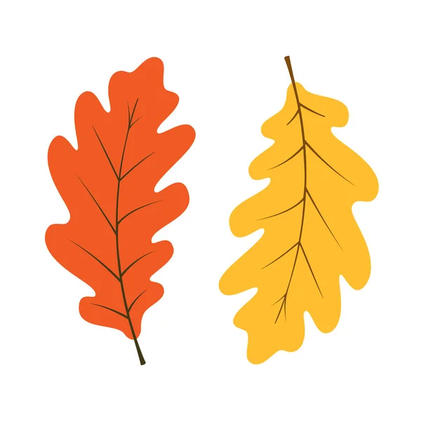Meşe yapraklarının Clipart çizimi. Sıcak renklerde el çizimi vektör. Sonbahar, Hasat Tatili, Şükran Günü, Cadılar Bayramı, mevsimlik, tekstil, hatıra defteri, tebrik kartı, çıkartma.