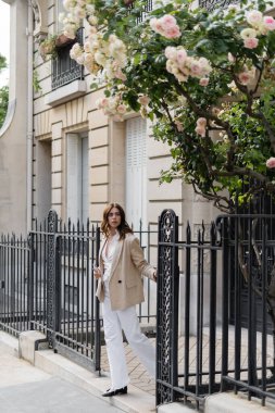 Çitin yanında akıllı telefon tutan şık bir kadın ve Paris 'te çiçek açan bir gül ağacı. 