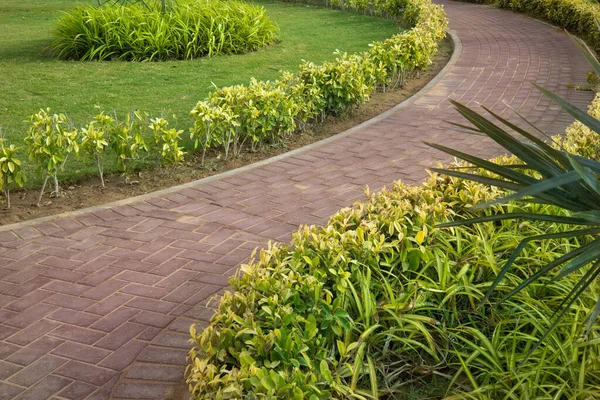 Piękny Chodnik Ogrodzie Botanicznym Sceny — Zdjęcie stockowe