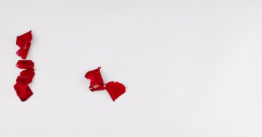 Gül yaprakları Elle Beyazların Arkaplanındaki Sözcükleri Seviyorum 'u oluşturuyor