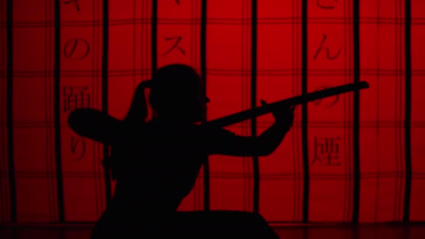 Samuraj Dívka Stíny Silueta Boj Meče Přední Části Červené Zdi — Stock video