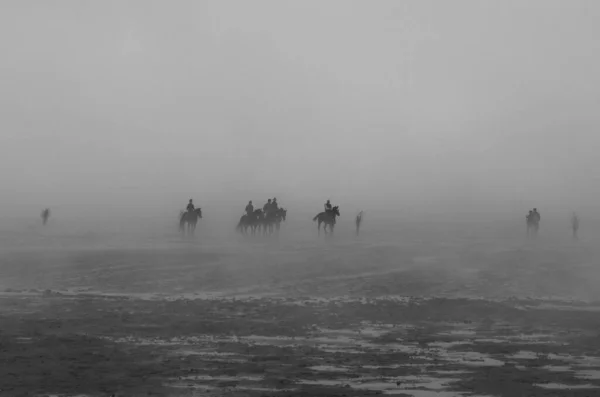 Horse Riding Low Tide North Sea Germany — Stock Photo, Image