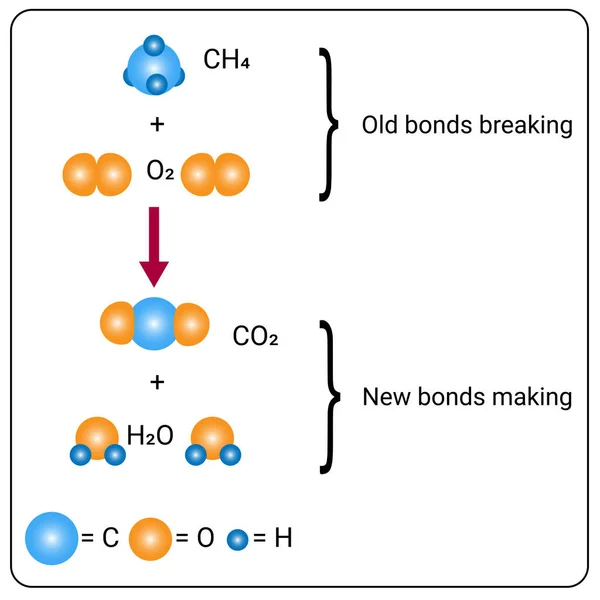 Chemical Reactions Occur Elements Contained Chemical Substance — Stock Vector