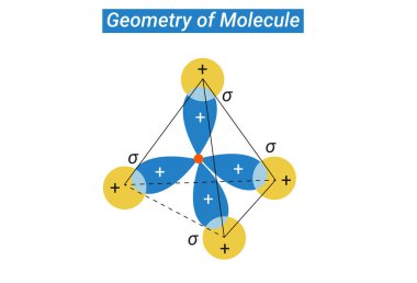Molekül veya Bent Moleküler Geometrinin kesin geometrisi 