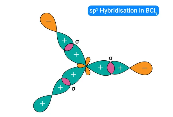 Sp2 Hybridation Dans Bcl3 Formation Bcl3 — Image vectorielle