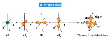 Sp3 Melezleme: Bir molekül veya iyon atomunun bir s ve üç p yörüngesi, sp3 hibrit yörünge olarak adlandırılan dört yeni hibrit orbitali vermek için karıştırılır.