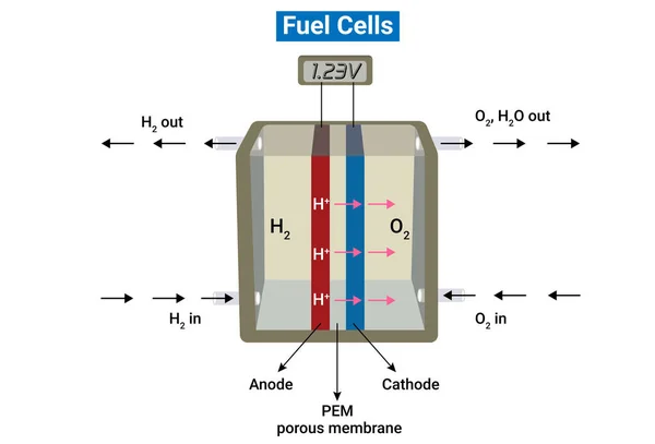 Hydrogen Oxygen Fuel Cell Scheme Fuel Cell — Stock Vector