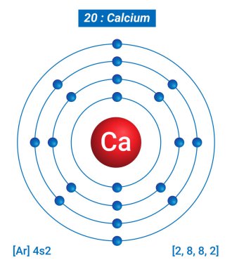 Ca Kalsiyum Element Bilgileri - Gerçekler, Özellikler, Eğilimler, Kullanımlar ve Karşılaştırma Elementlerin Periyodik Tablosu, Kalsiyum Kabuk Yapısı - Enerji seviyesi başına elektronlar