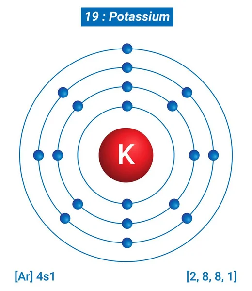 Potassium Element Information Facts Properties Trends Uses Comparison Periodic Table — Vettoriale Stock